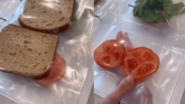 girlfriend-uses-binder-to-pack-her-boyfriend-lunch-internet-is-not-impressed-viral-video